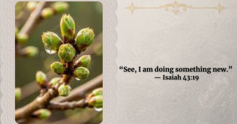 Green upen bud close up with branch, scripture verse Isaiah